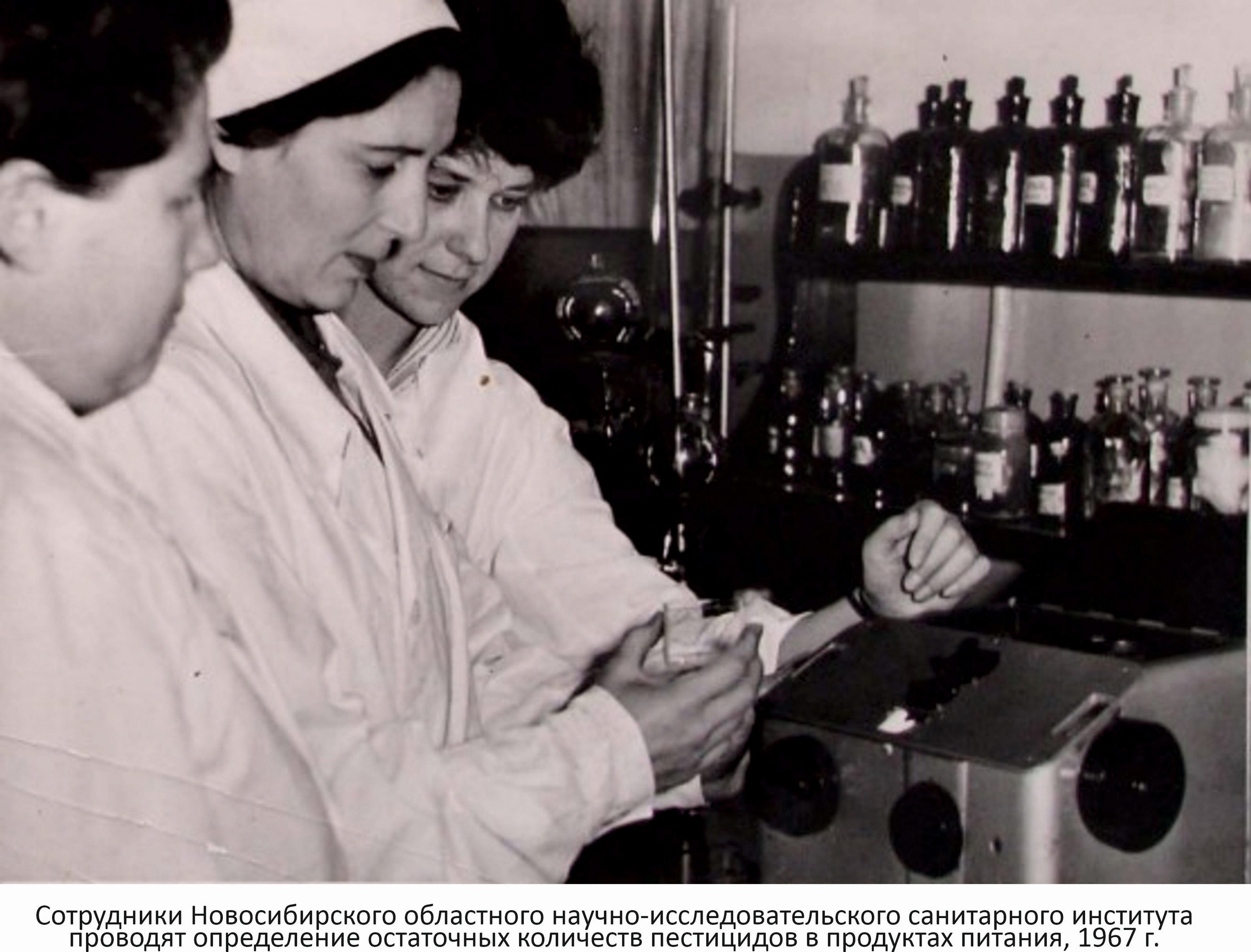 Фото на сайте