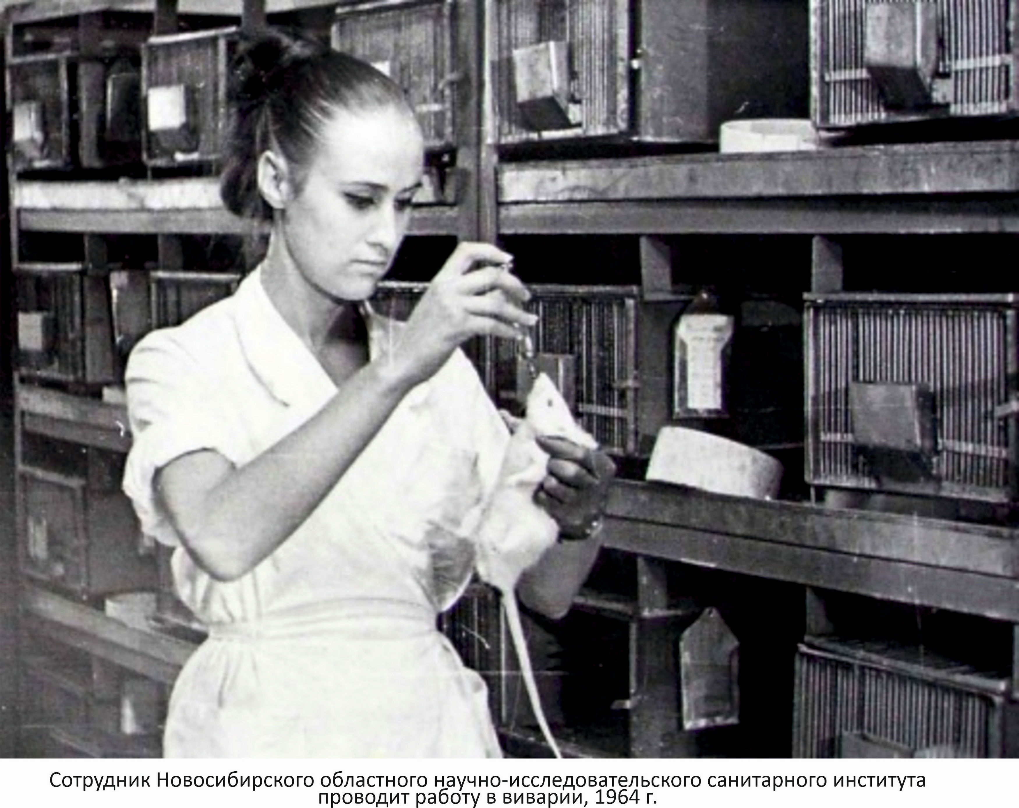 Фото на сайте